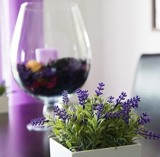 Appartement Alojamentos Campo & Mar-t2 Com Piscina *